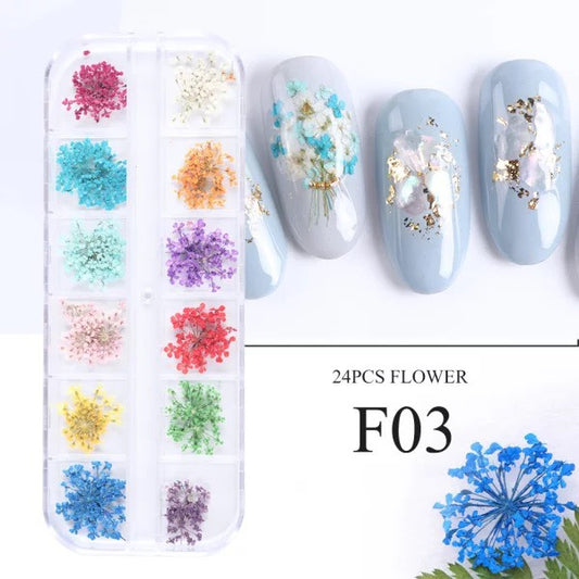 3D Flowers 12 Colors, 24pcs Flowers | F03